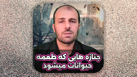 جنازه هایی که طعمه حیوانات میشود